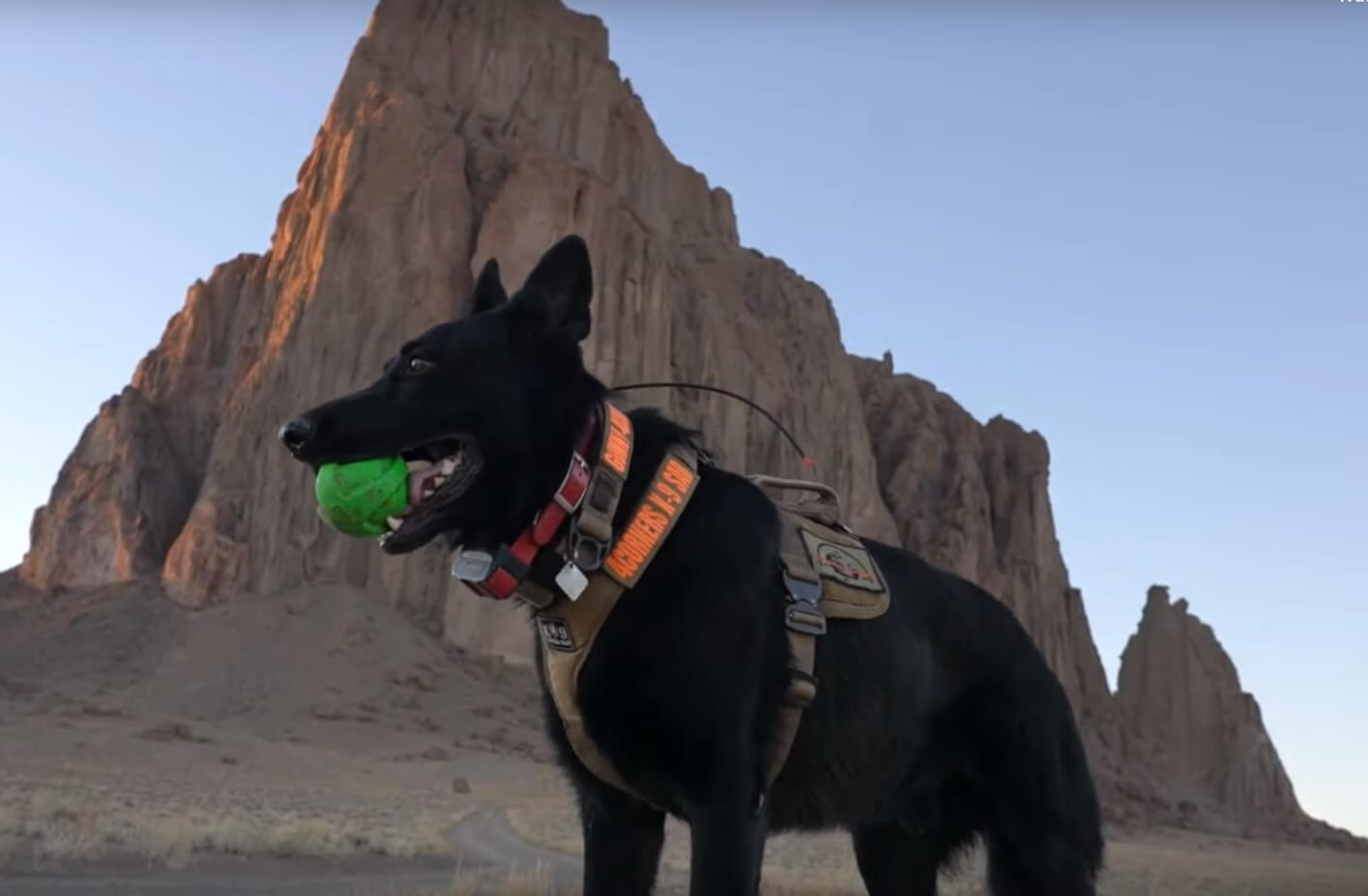 How K-9’s Are Solving Navajo Cold Cases